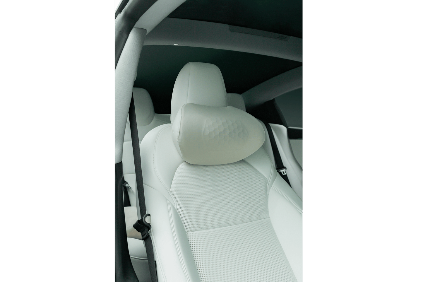 Tesla Neck Pillow-4