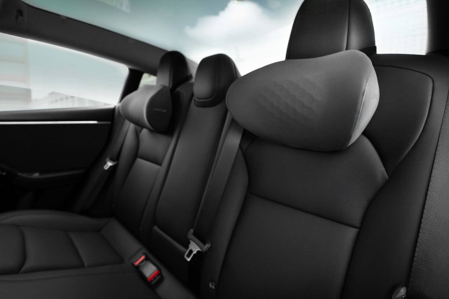 Tesla Neck Pillow-3