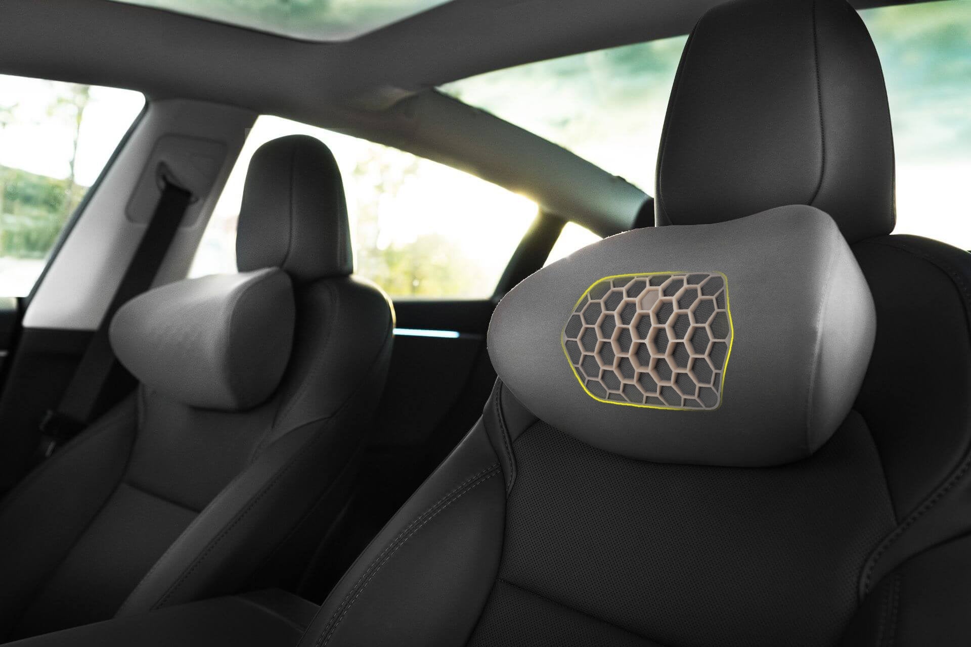 Tesla Neck Pillow-2