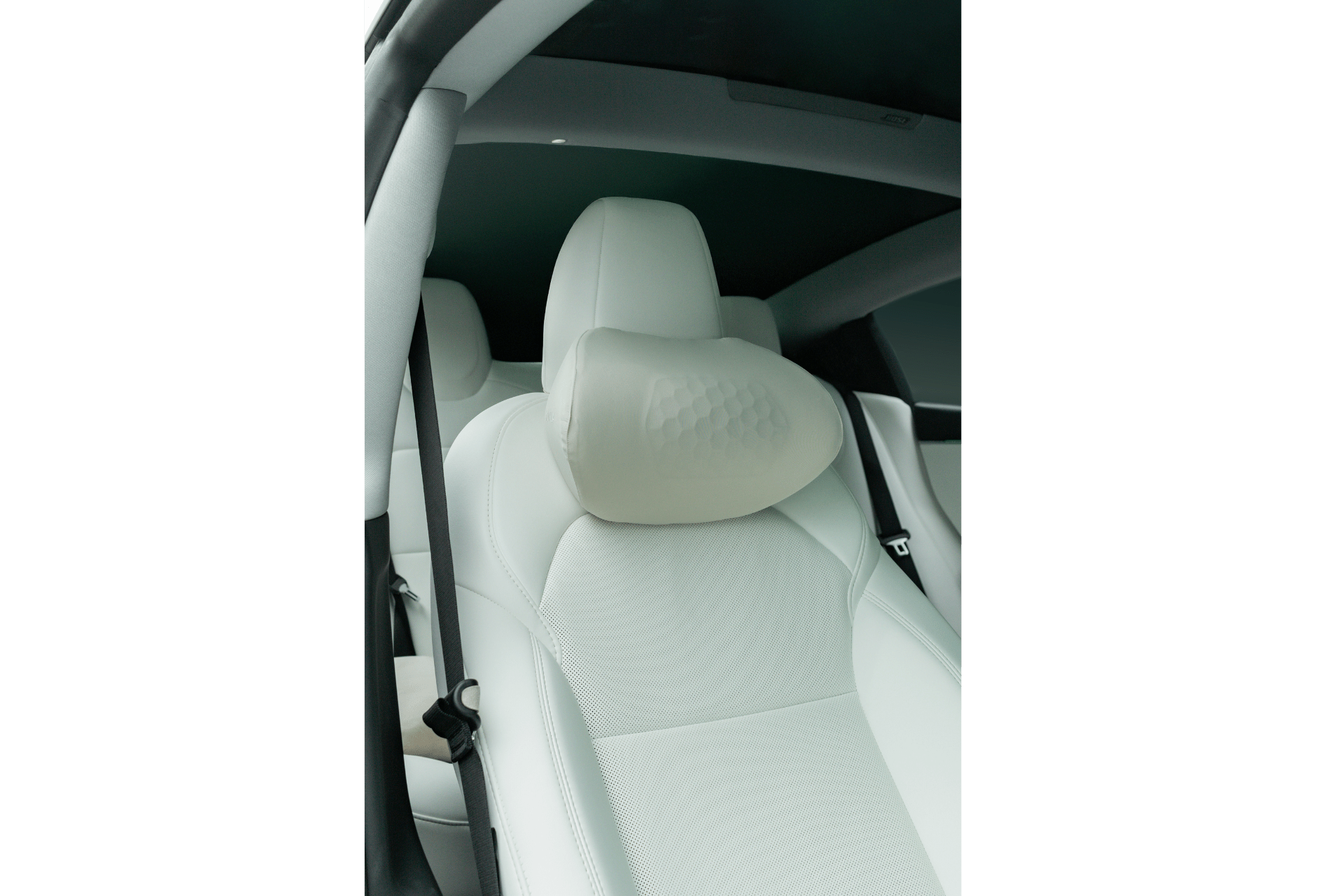 Tesla Neck Pillow-4